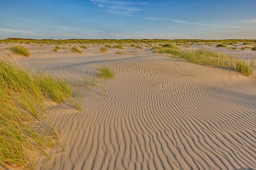 Dunes de Texel