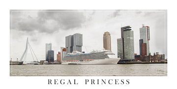 Regal Princess in Rotterdam van Peter Hooijmeijer