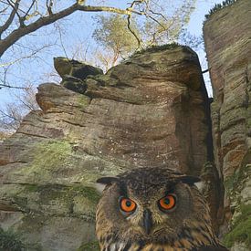 Eagle owl by Dieter Beselt