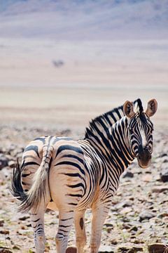 Zebra van Myrthe Visser-Wind