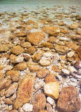 Crystal clear lake slovenia van A.Westveer