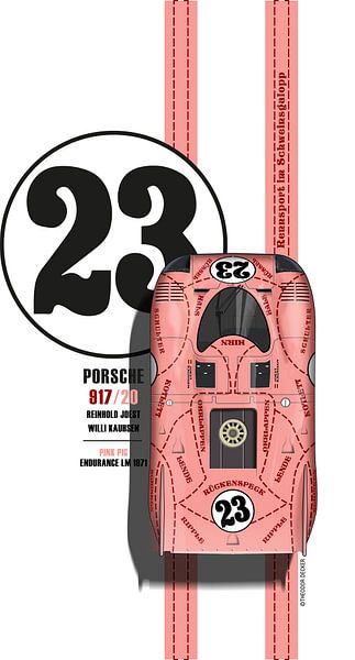 917 Roze varken nr.23 van Theodor Decker
