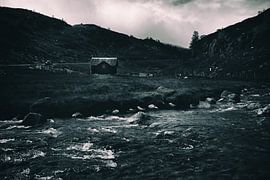 Grange norvégienne sur Jip van Bodegom