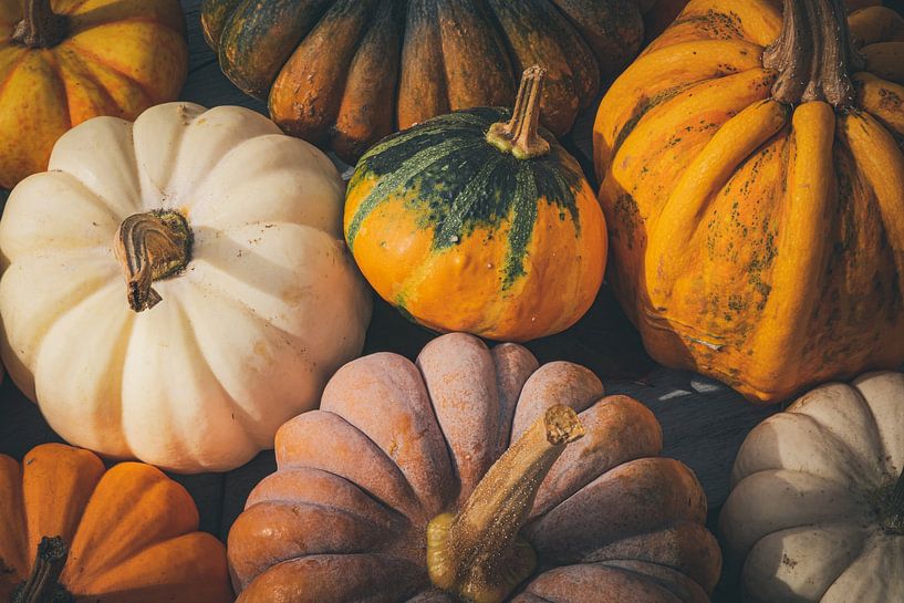 Autumn Vibes by Hello Pompoyo