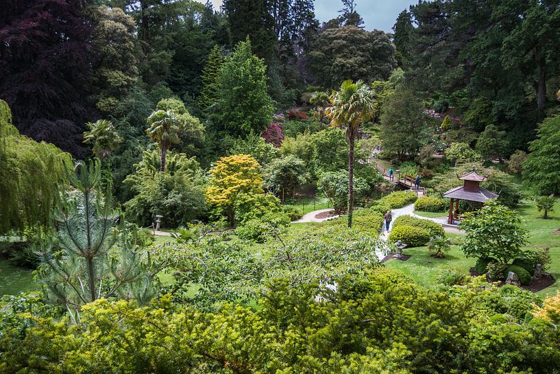 Ein chinesischer Garten in Irland von Rijk van de Kaa