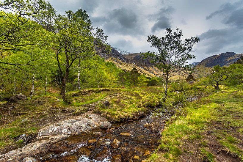 Betoverend Schots Landschap bij Ben Nevis van Hans Kwaspen