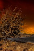 Burning sky