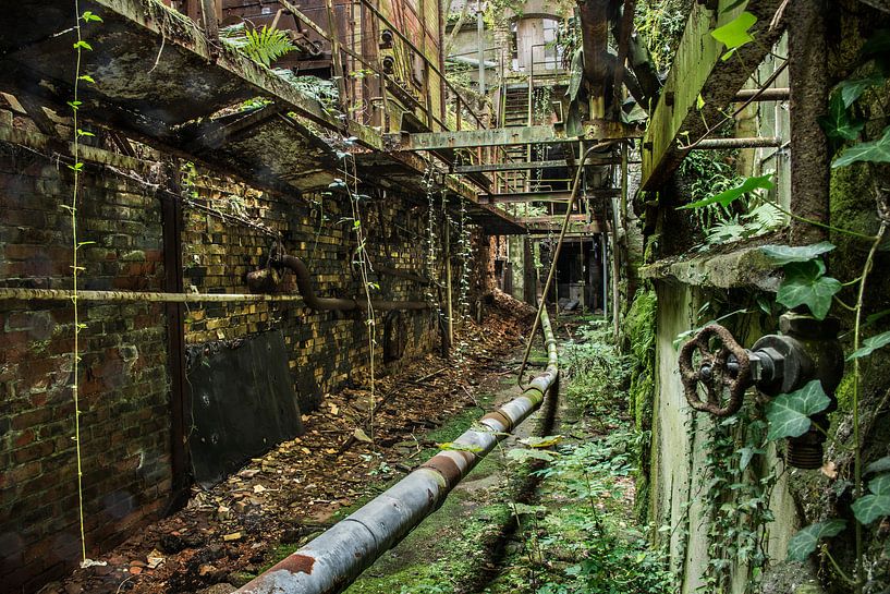 The green Tunnel von Roel Boom