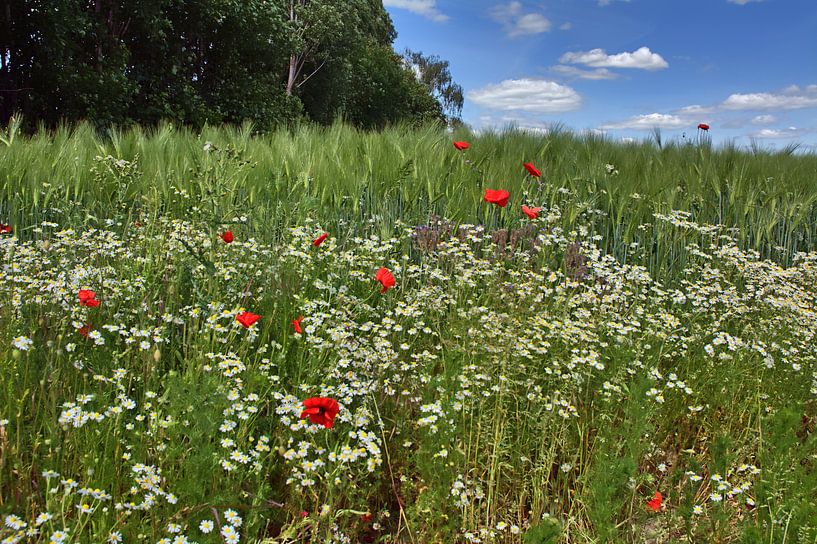 Wilde bloemen 2 van Edgar Schermaul