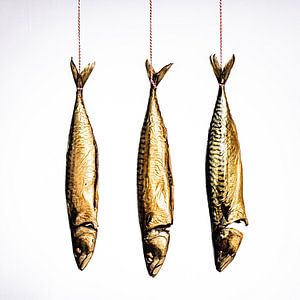Trois maquereaux suspendus à une corde de cuisine