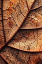 Herfstachtige bladstructuur van Poster Art Shop thumbnail