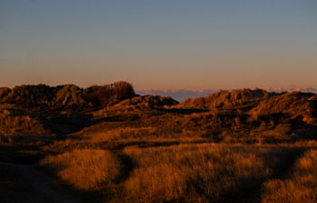 De duinen in natuurgebied de Slufter op Waddeneiland Texel