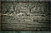 Nature Artwork