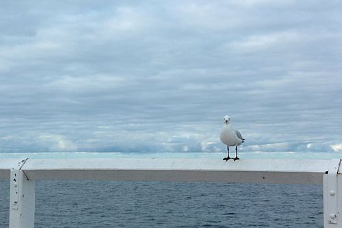 Waar kijk jij naar? van Ingrid Meuleman