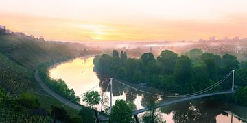Bridge over the Necker in Stuttgart at the Max-Eyth-See with vineyards at sunrise