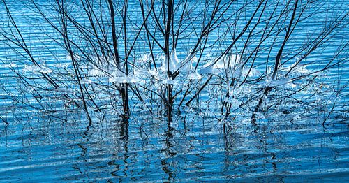 Natuurlijke Abstractie in  Ijsvormen