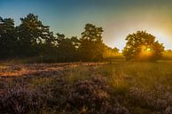 De Drentse heide tijdens zonsopkomst van Gert Hilbink thumbnail