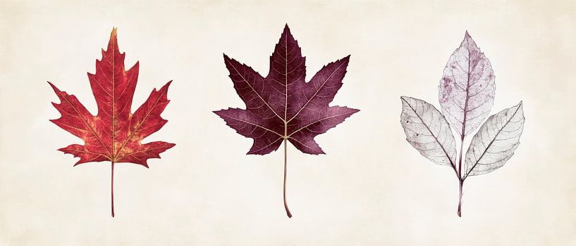 Herbstliches Farbenspiel der Blätter von Poster Art Shop