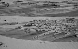 Dunes Texel black and white by Photography by Cynthia Frankvoort