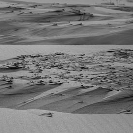 Dunes Texel black and white by Photography by Cynthia Frankvoort