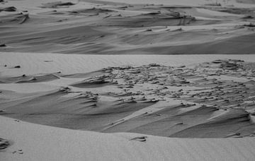 Duinen Texel zwart-wit