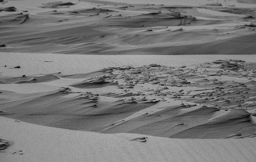 Duinen Texel zwart-wit
