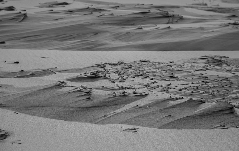 Dünen Texel schwarz und weiß von Photography by Cynthia Frankvoort