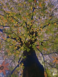 Autumn Leaves by treesgivepeace.nl