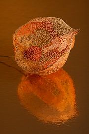 Warm autumn colours: Orange lantern with abstract reflection