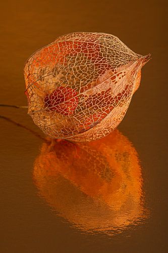 Warme herfstkleuren: Oranje lampionnetje met abstracte spiegeling