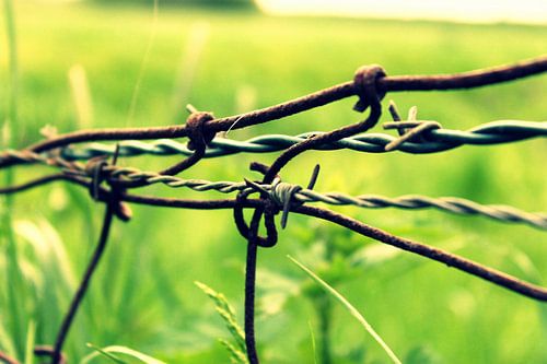 Grens door het groen