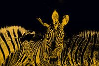 Zebra's in gold-schwarzem Stil