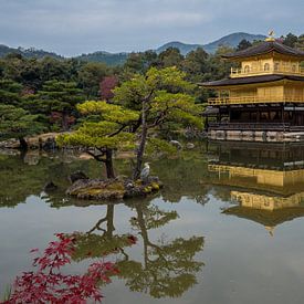 Gouden Tempel in Kyoto, Japan van Frank den Hond