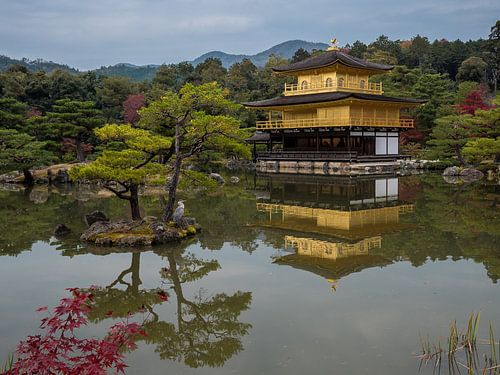 Gouden Tempel in Kyoto, Japan