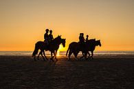 Paarden op het strand von Melissa Wellens Miniaturansicht