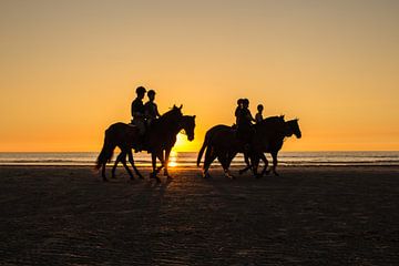 Horses on the beach sur Melissa Wellens