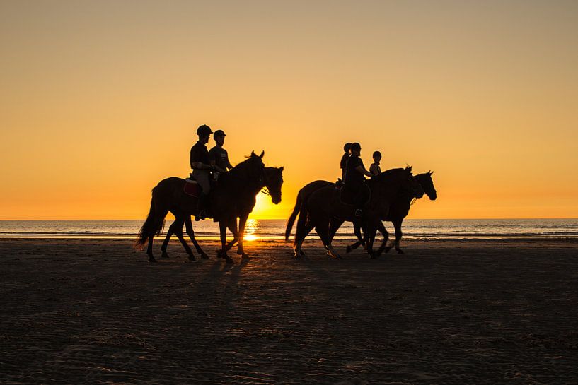 Paarden op het strand von Melissa Wellens