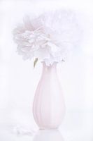 Peony