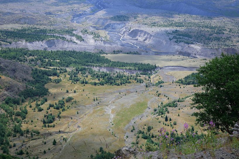 Looking down from the Johnston Ridge by Frank's Awesome Travels