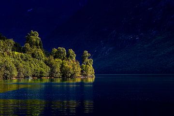 leuchtende Bäume von Thomas Heitz