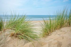 Vue depuis les dunes sur la plage de sable de la mer du Nord sur Sjoerd van der Wal Photographie