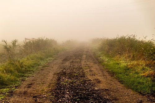 Weg in de mist