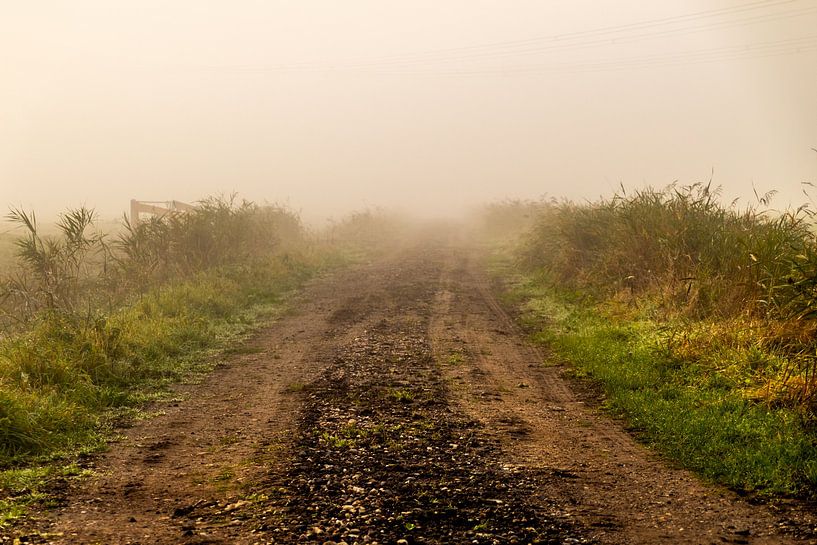 Weg in de mist van Ralf Bankert