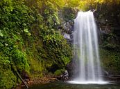 Waterval in het regenwoud van Panama van Michiel Dros thumbnail