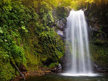 Waterval in het regenwoud van Panama van Michiel Dros