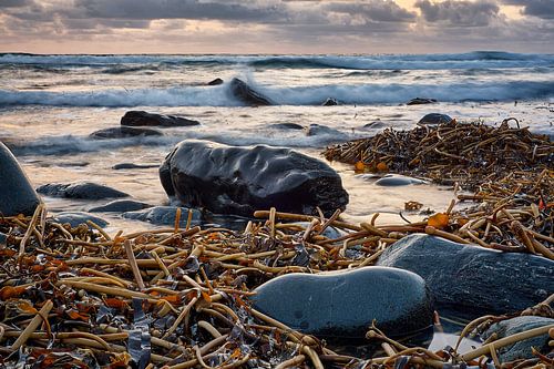 Beukende golven en zeewier op een strand in Alnes, Godøy, Noorwegen