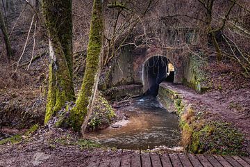 Eyserbeek Roodborn by Rob Boon