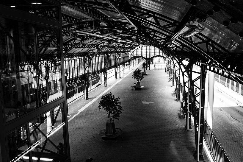 SONY DSC par Art Through the Lens
