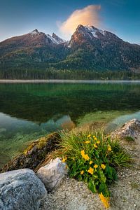 Frühling am Hintersee