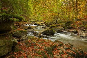 Birks Of Aberfeldy; Moness Burn; Moness; Nr Aberfeldy; Perthshir